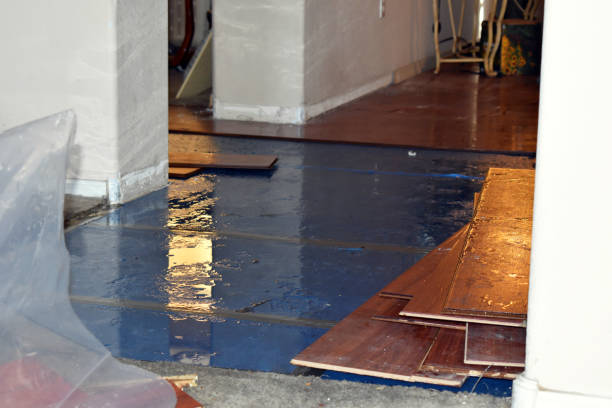 Professional Emergency Water Damage Restoration technician working in Zanesfield, OH